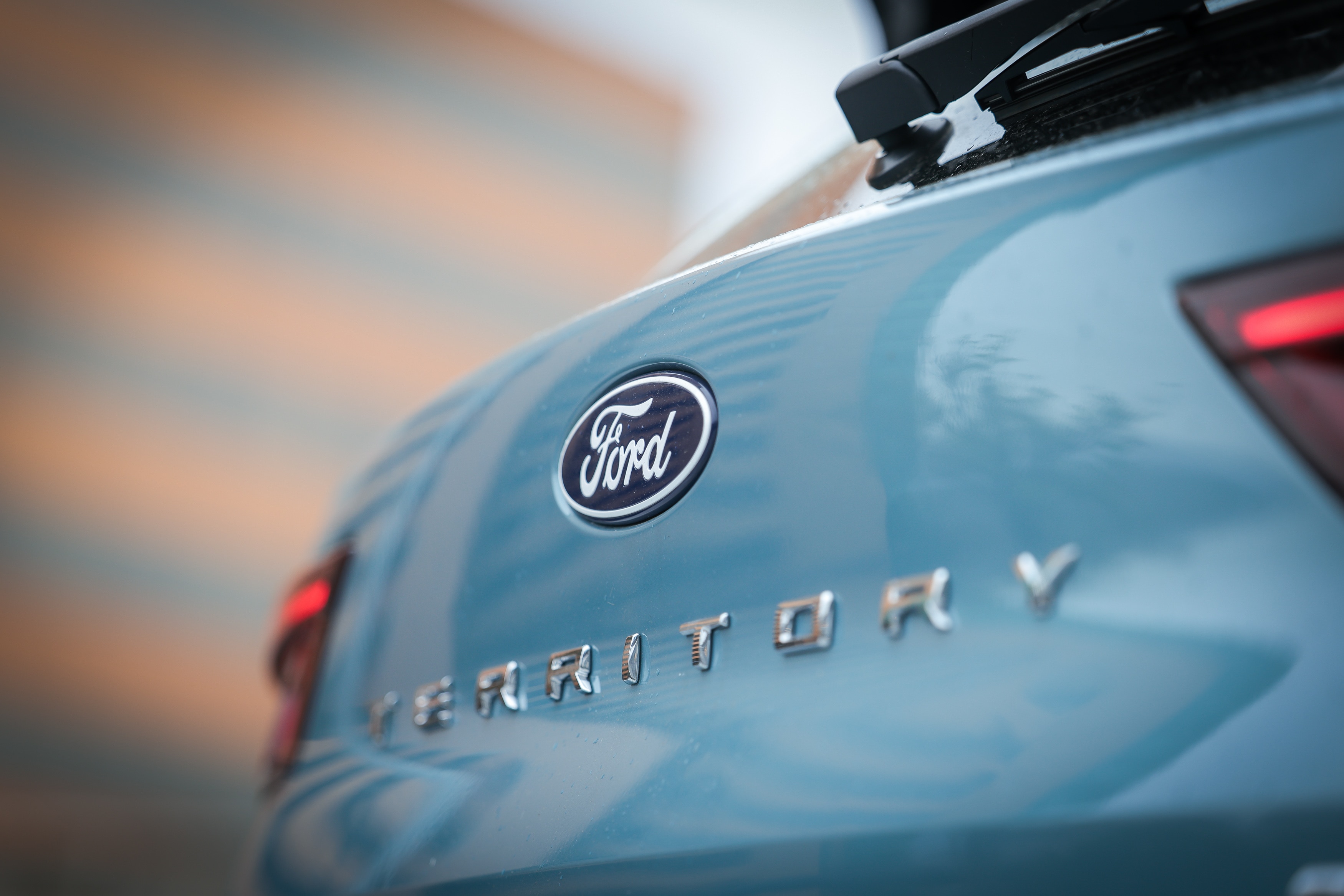Nueva Territory Platinum